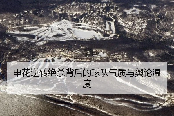 申花逆转绝杀背后的球队气质与舆论温度
